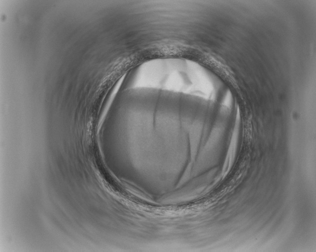 X0000059080018200510281735