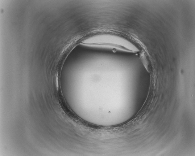 X0000059080020200510281735