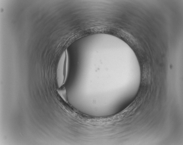 X0000059080025200510281735