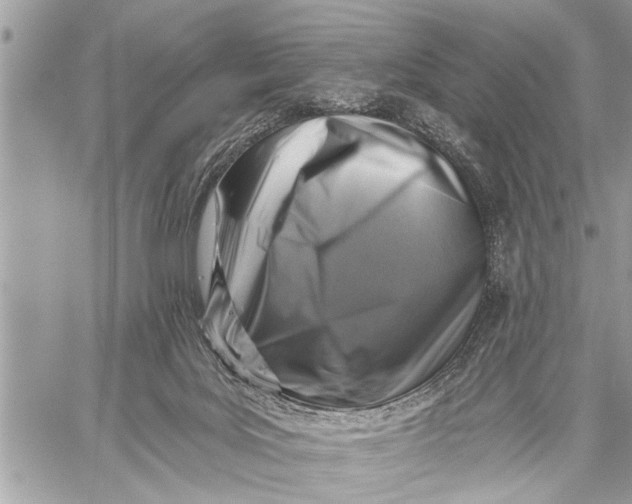 X0000059080027200510281735