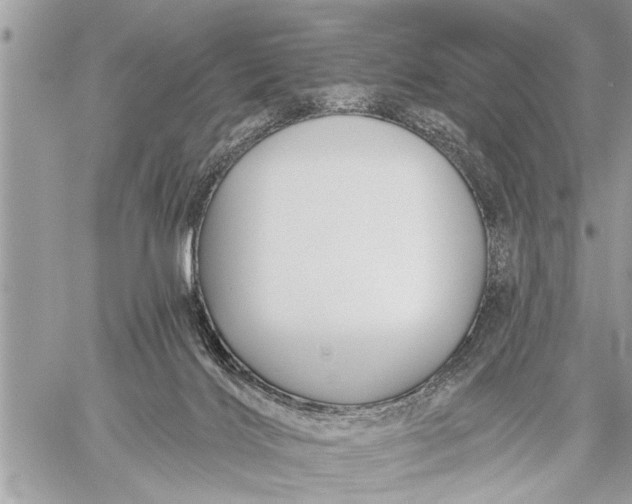 X0000059080028200510281735