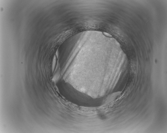 X0000059080029200510281735