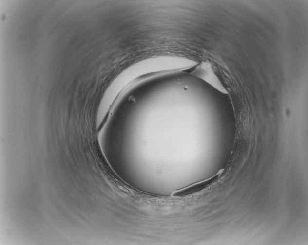 X0000059080033200510281735