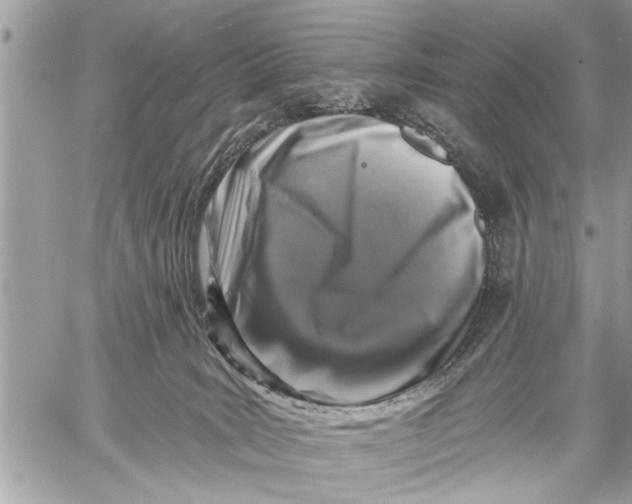 X0000059080035200510281735