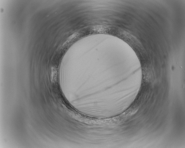 X0000059080036200510281735