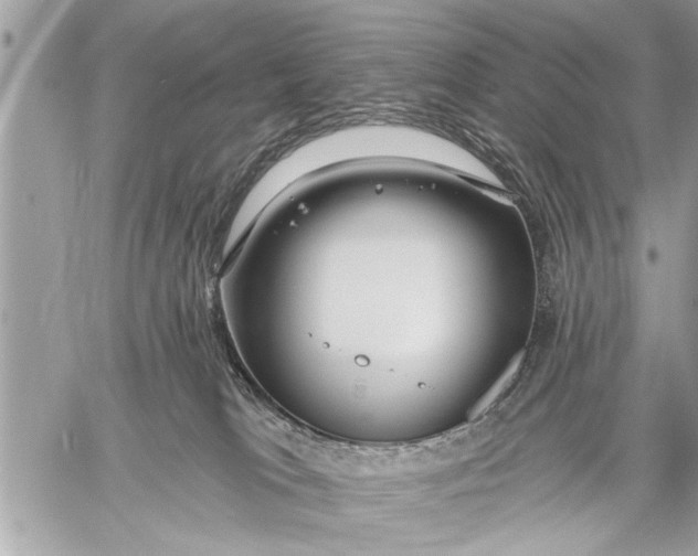 X0000059080037200510281735