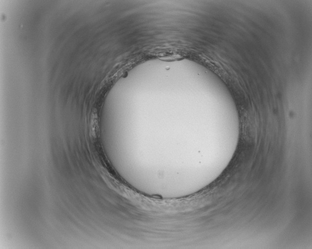 X0000059080038200510281735