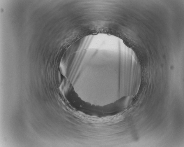 X0000059080039200510281735