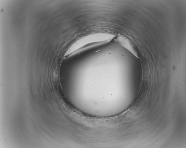 X0000059080040200510281735