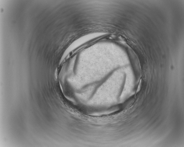 X0000059080041200510281735