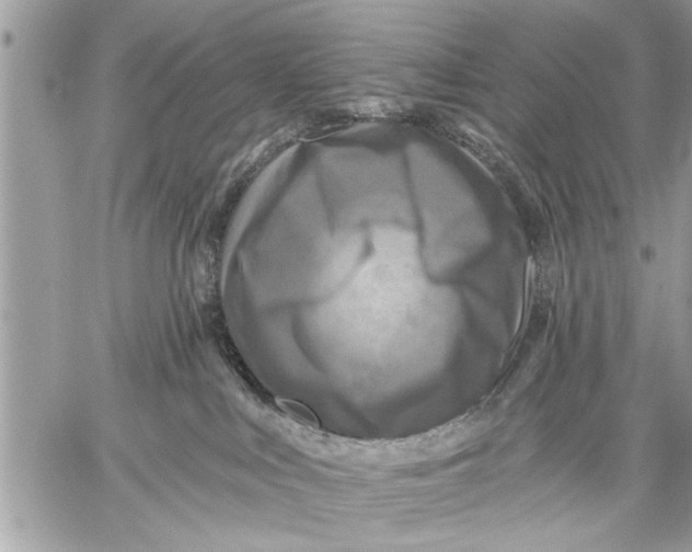 X0000059080043200510281735