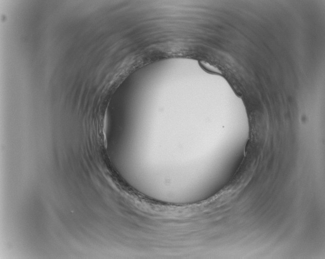 X0000059080044200510281735