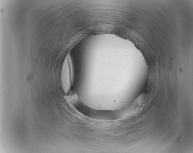 X0000059080045200510281735