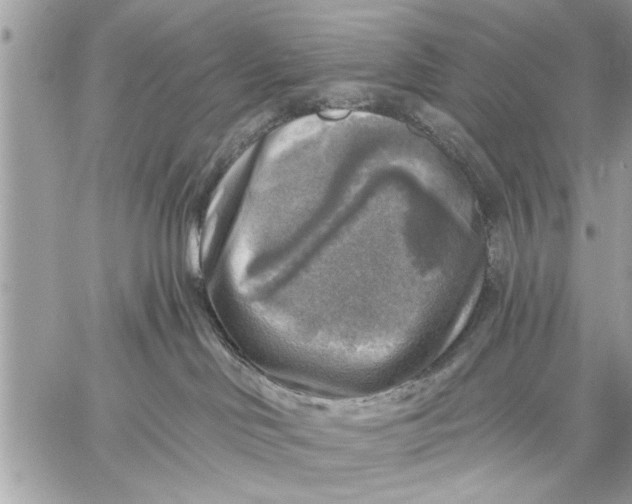 X0000059080046200510281735