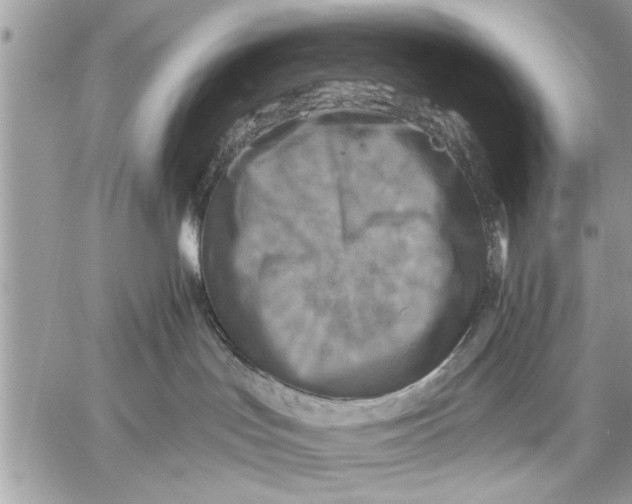 X0000059080047200510281735