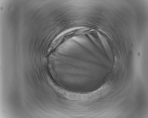 X0000059080048200510281734