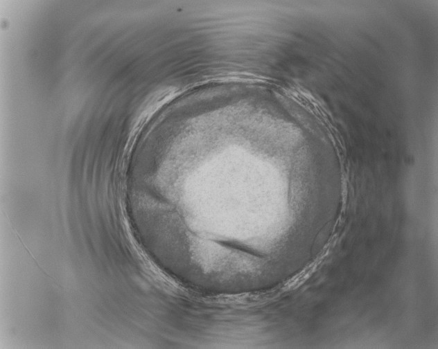 X0000059080049200510281734