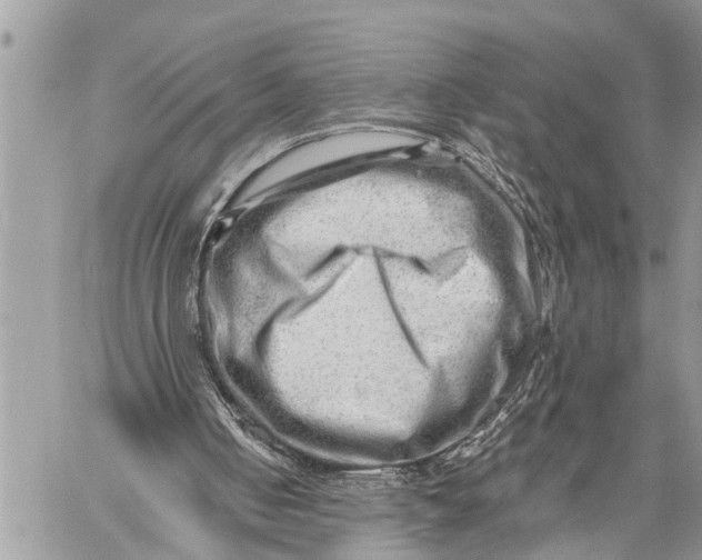 X0000059080050200510281734