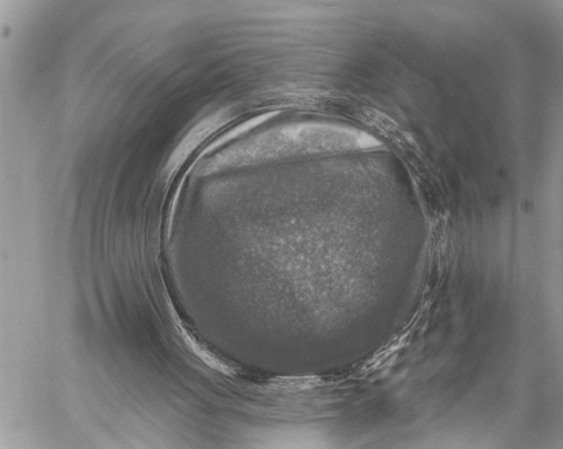 X0000059080051200510281734