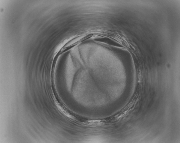 X0000059080052200510281734