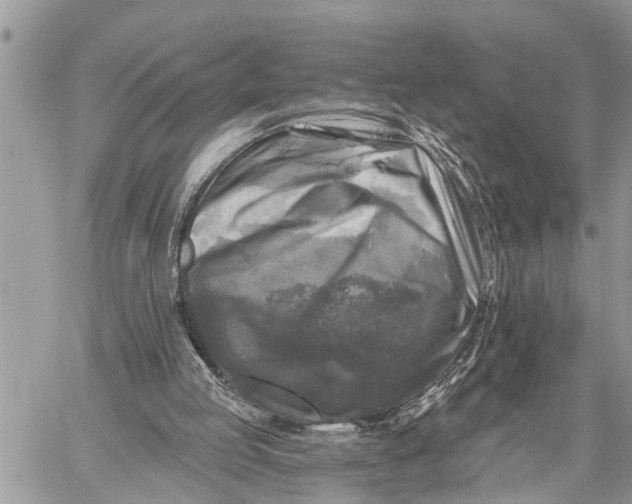 X0000059080053200510281734