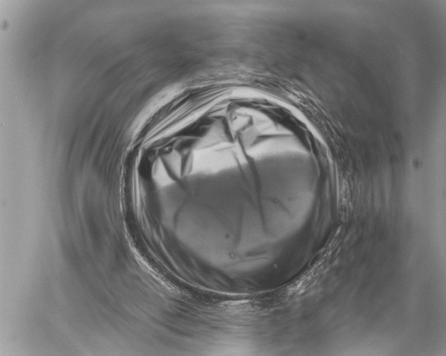 X0000059080054200510281734