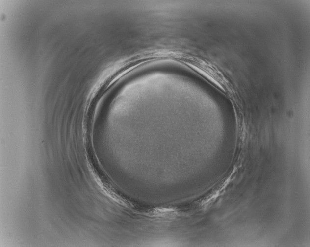 X0000059080055200510281734