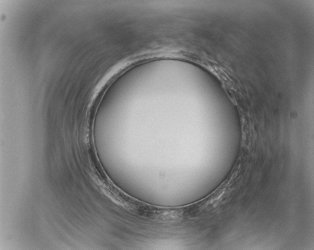 X0000059080056200510281734