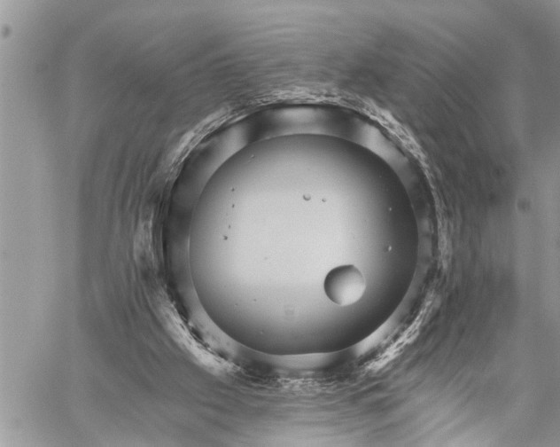 X0000059080057200510281734