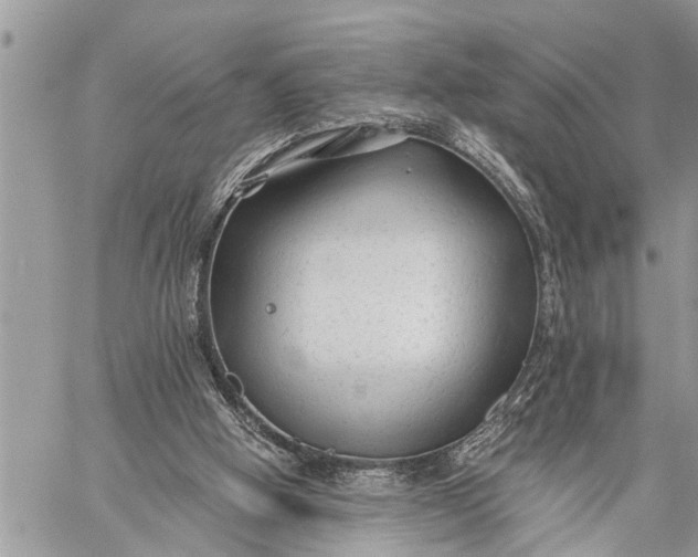 X0000059080058200510281734