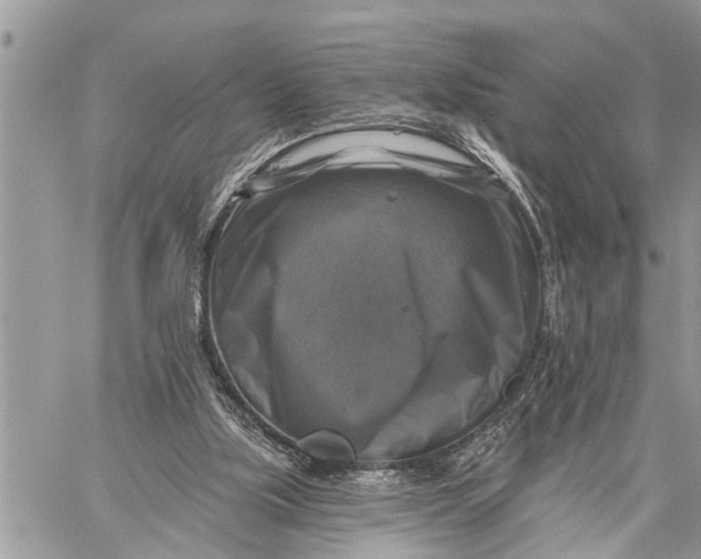 X0000059080059200510281734