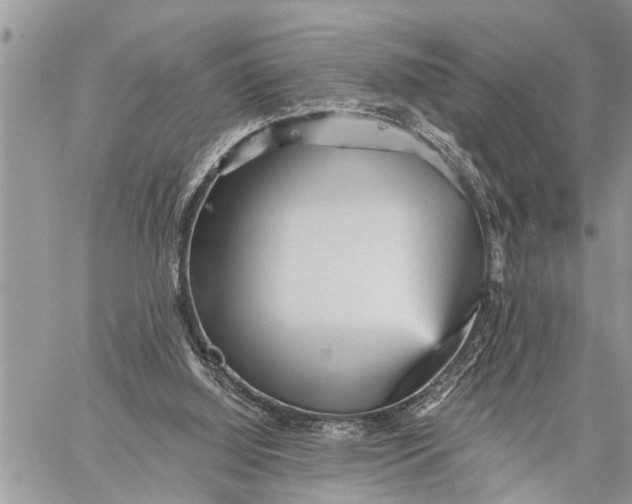 X0000059080060200510281734