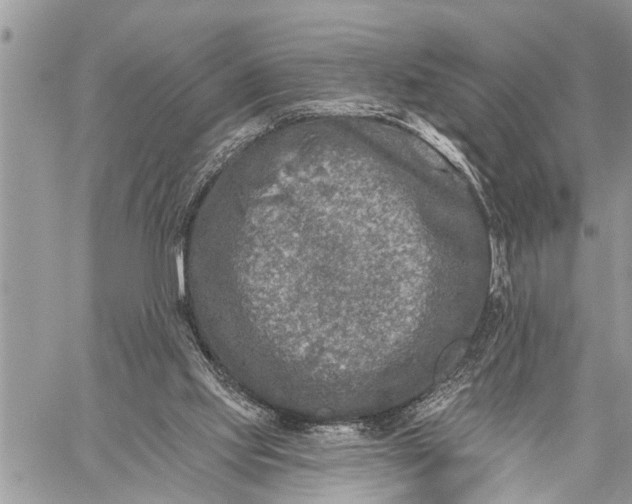 X0000059080061200510281734