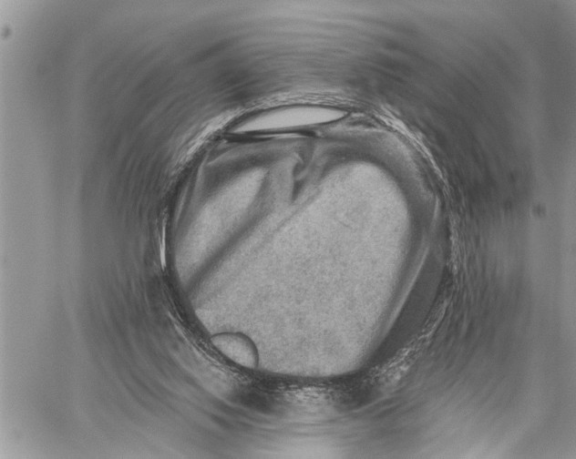 X0000059080062200510281734