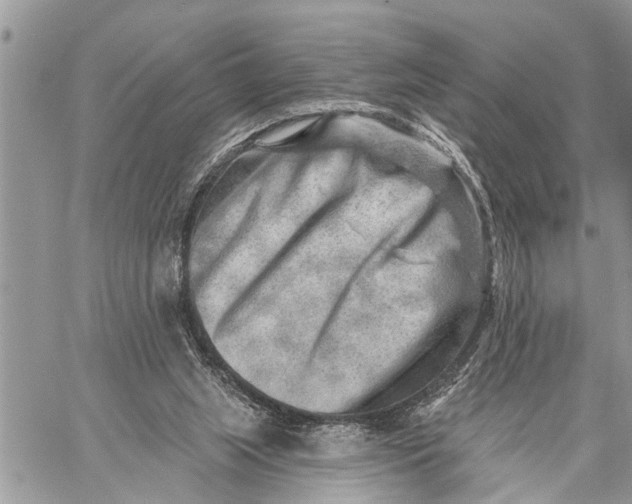 X0000059080063200510281734