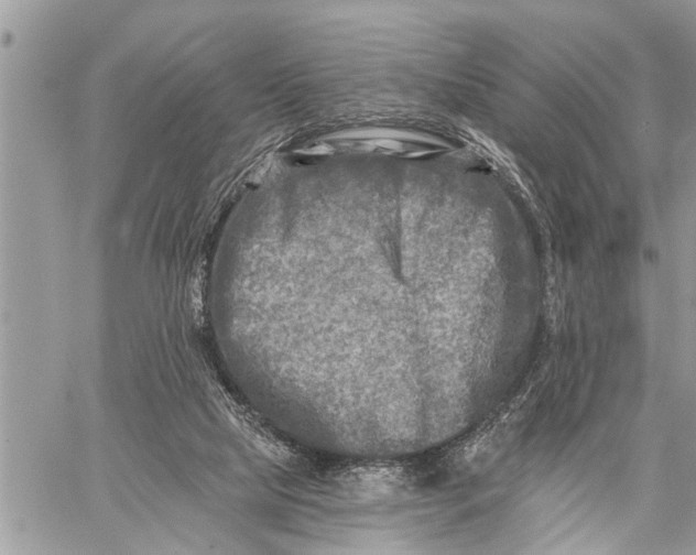 X0000059080065200510281734