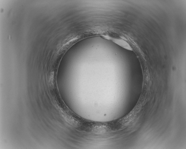 X0000059080066200510281734