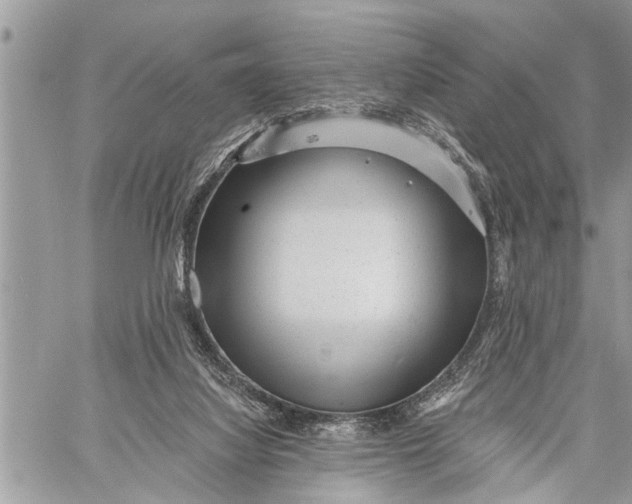 X0000059080068200510281734