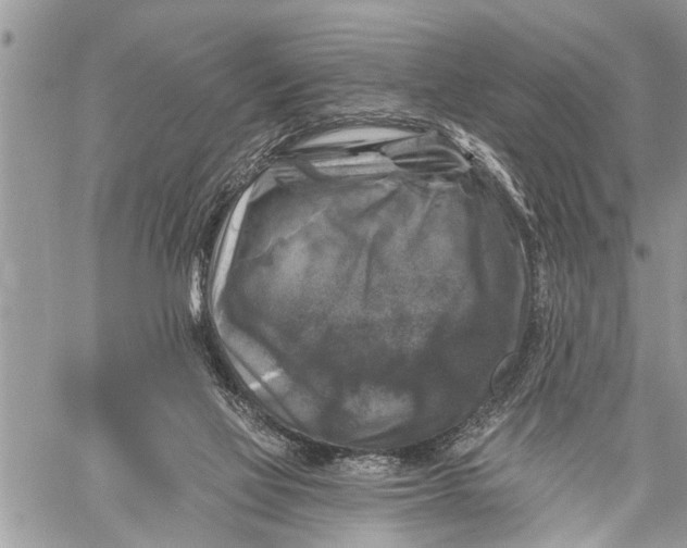 X0000059080069200510281734