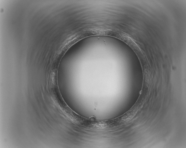 X0000059080071200510281734