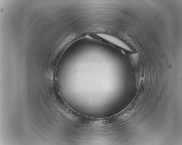 X0000059080072200510281734