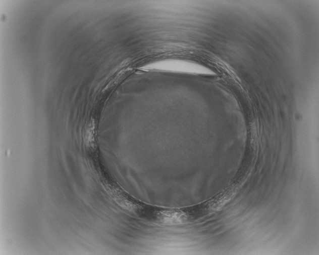 X0000059080073200510281734