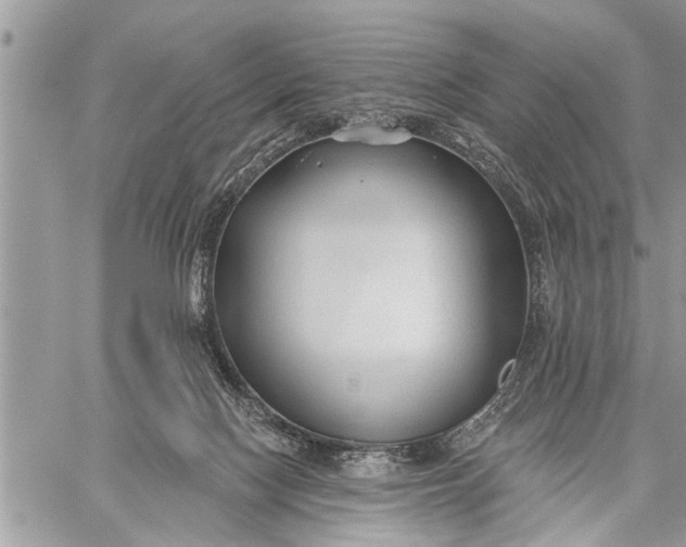 X0000059080074200510281734