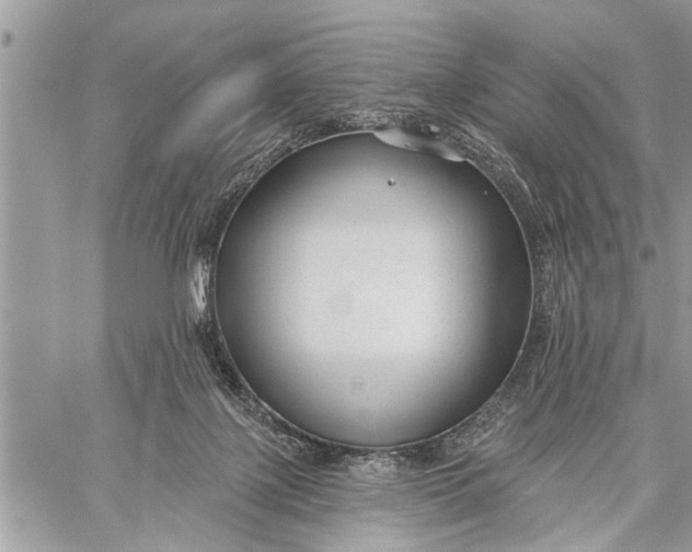 X0000059080075200510281734