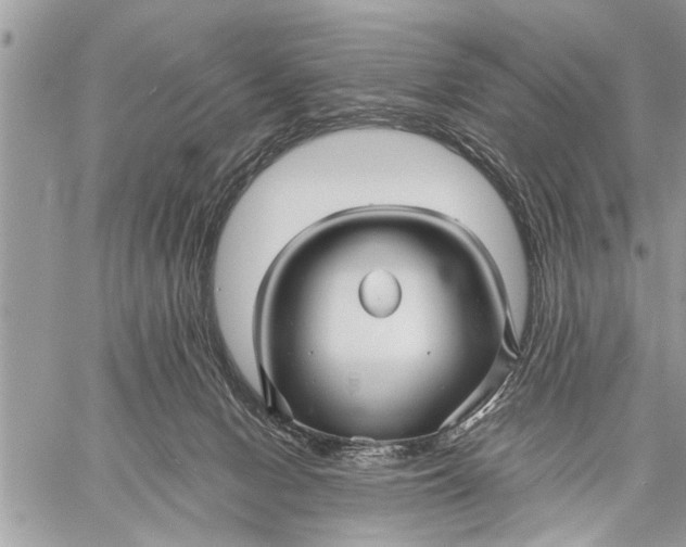 X0000059080078200510281734