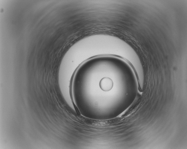 X0000059080079200510281734