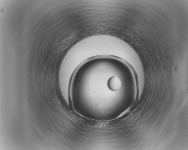 X0000059080080200510281734