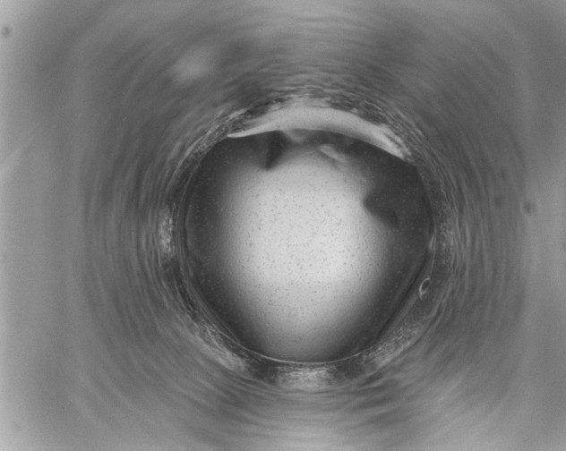 X0000059080081200510281734