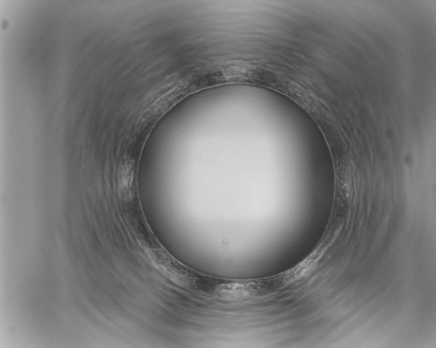 X0000059080082200510281734