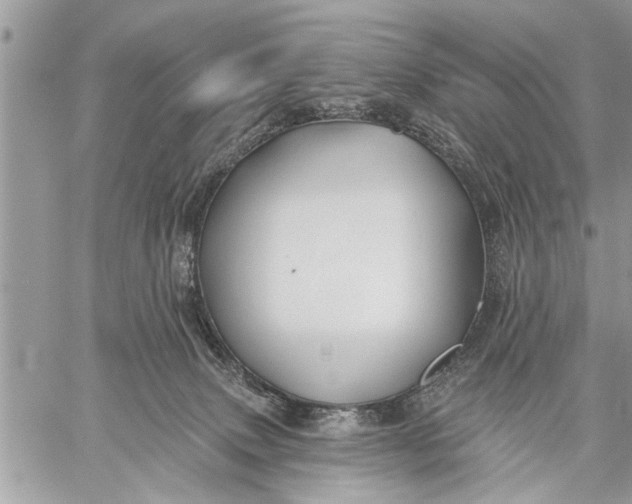 X0000059080083200510281734